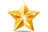 Star Executive